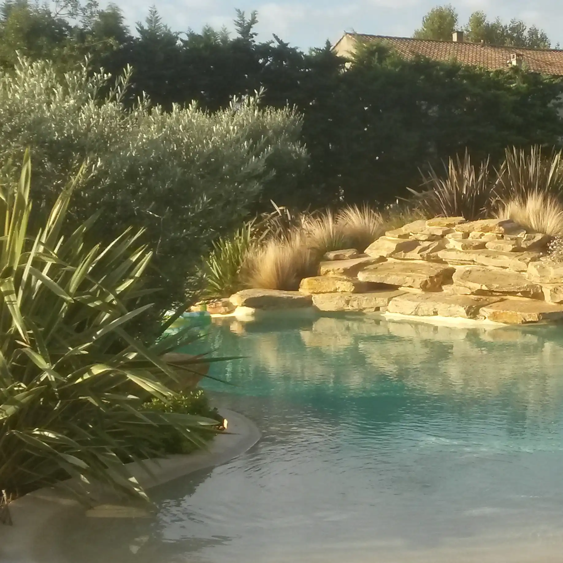 Aménagement paysager méditerranéen autour d’une piscine avec plantes, graminées et rochers à Châteaurenard