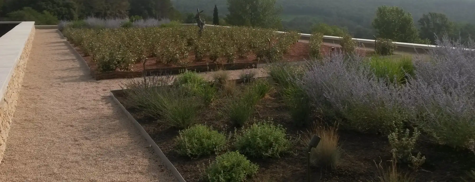 Toiture-terrasse végétalisée avec arbustes, graminées et allées en gravier