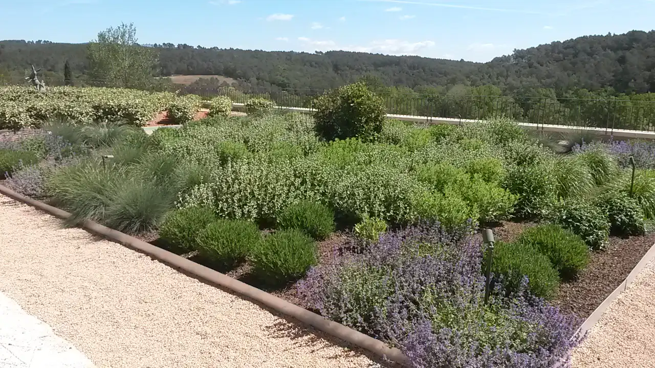 Toiture végétalisée composée de plantes méditerranéennes et de graminées face aux collines